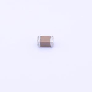 FS31X225K101EPG商品缩略图