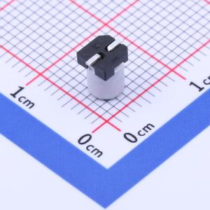 RVT1H1R0M0405 1UF 50V商品缩略图