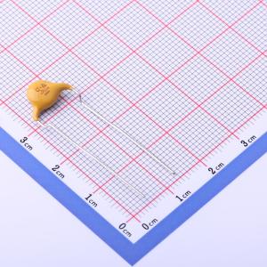 VY2221K29Y5SS63V0商品缩略图