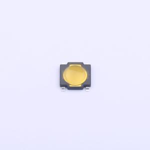 RKA2SGM055SMTRLFS商品缩略图