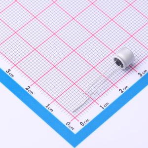 SPT0JM221E05ORVZC商品缩略图