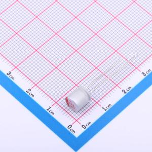 SPT1CM221E07ORVZC商品缩略图