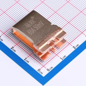 HoFLQ60-65A-50mV-0.5%-7 H27商品缩略图