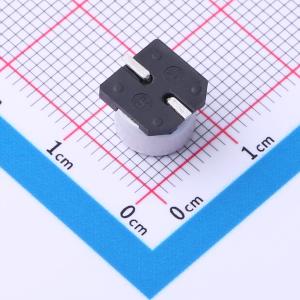 RVT1E101M0806商品缩略图