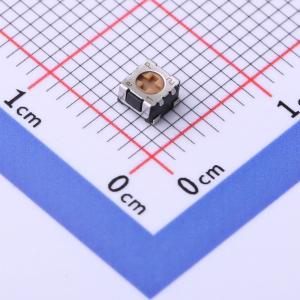 100Ω ±20%