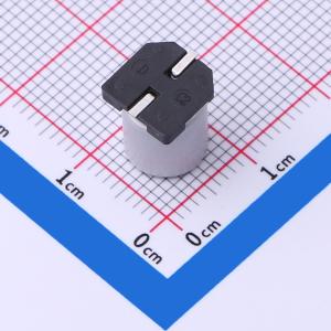 CK1V221M-CRF10商品缩略图