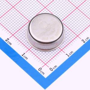1024-Bit EEPROM 信息纽扣