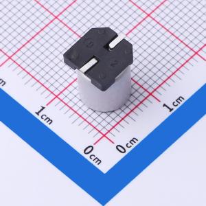 CS1H101M-CRF10商品缩略图