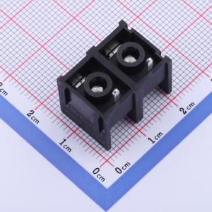 DBT10-10.0-2P-BK商品缩略图