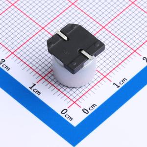 VKL(T)E1001V221MVTMCG商品缩略图