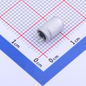 160AREP101M05X7P24商品缩略图