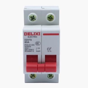 DZ47G 2P 80A商品缩略图