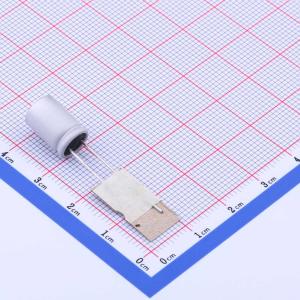 350ARCP221M08A2T商品缩略图