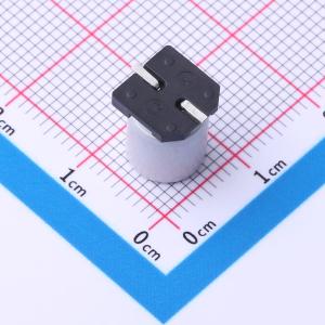 RVT2A100M0810商品缩略图