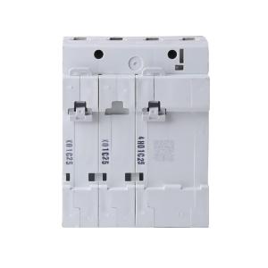 DZ47SLES6C25R100商品缩略图