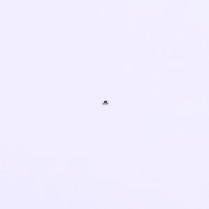 0201WMF931JTEE商品缩略图