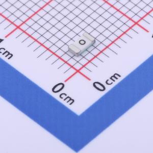 保险丝 2.5A 100V