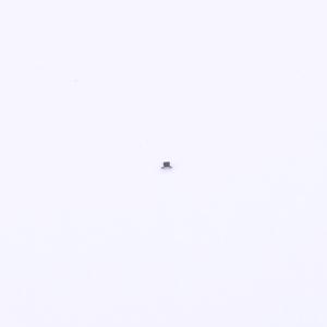 AC0201FR-073R01L商品缩略图