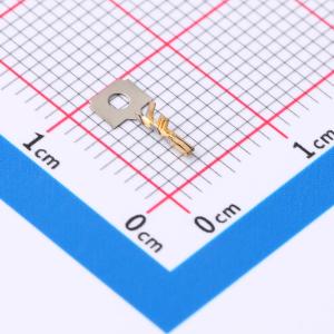 SSHL-002GA1-P0.2商品缩略图
