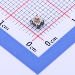 100Ω ±20%