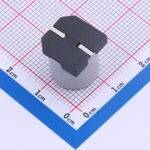 BDS160V33M12.5*13.5 12.5TP商品缩略图