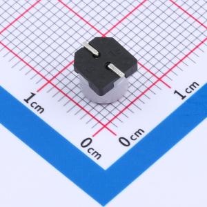 HV1A227M0605PZ商品缩略图