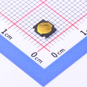 RKA2SGG055SMTRLFS商品缩略图