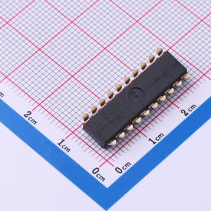 DSIC10LSGER商品缩略图