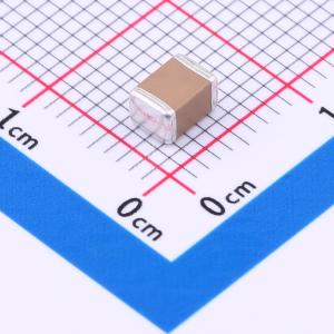 FS43X226M250EGG商品缩略图