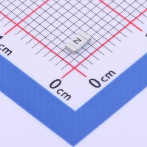 保险丝 2A 100V