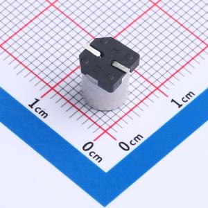 VP1H101M0607商品缩略图