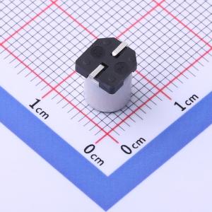 GVZ1E107M0608CNVC商品缩略图