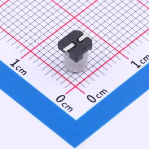 VT1C100M-CRC54商品缩略图