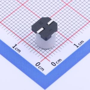 GVT1C227M0608CNVC商品缩略图