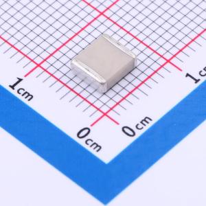 FV55N221J202EFG商品缩略图