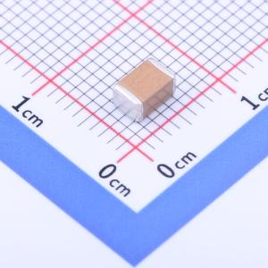 FJ43X222K302EGG商品缩略图