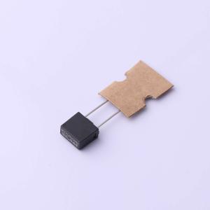 SPT478T1.25A250V商品缩略图