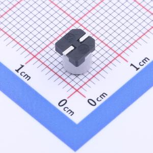 GVZ1V226M0506CNVC商品缩略图