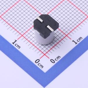 GVT1E227M0608CNVC商品缩略图