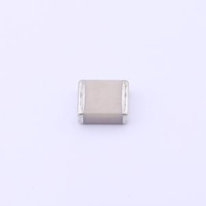 FV55N221J202EFG商品缩略图