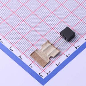 SPT478T1.25A250V商品缩略图