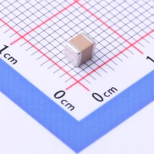 FS32X105K101EGG商品缩略图