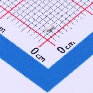 SC0603J2R70G2BNRH商品缩略图