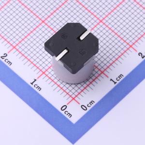 VT227M050GA5RRONB1VP0商品缩略图