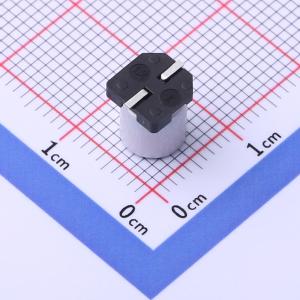 GVZ1H476M0608CNVC商品缩略图