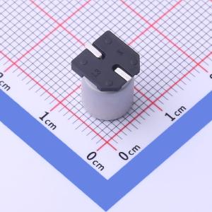 GVZ1V227M0810CNVC商品缩略图