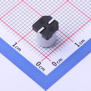 GVZ2A106M0608CNVC商品缩略图