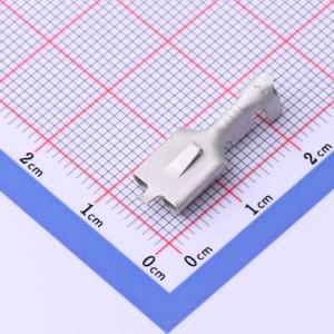 170031-2商品缩略图