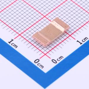 HoLRS1050-0.2mR-5%-6J06商品缩略图