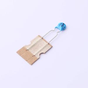 DCH101K22Y5PN6FJ5BU商品缩略图